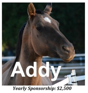sponsor Addy